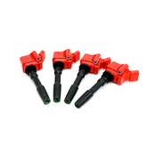 Audi VW Ignition Coil Kit - OEM Supplier KIT-06H905110L